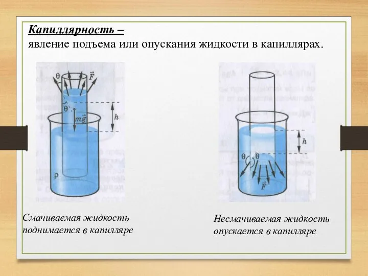 Капиллярность – явление подъема или опускания жидкости в капиллярах. Смачиваемая жидкость