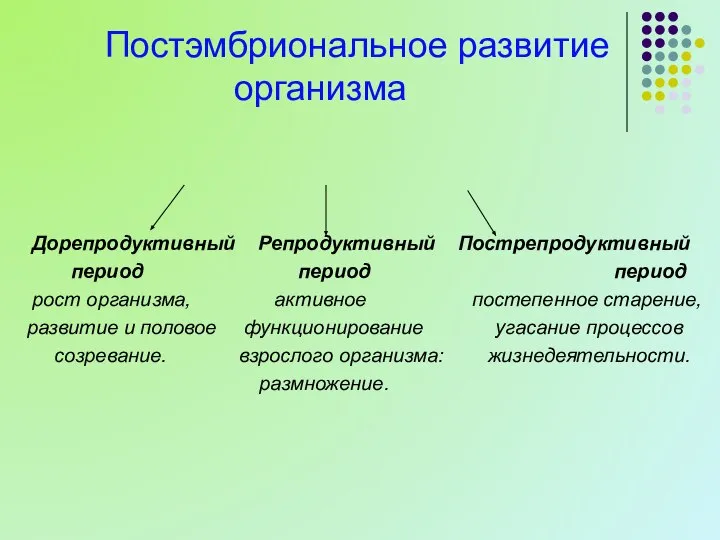 Постэмбриональное развитие организма Дорепродуктивный Репродуктивный Пострепродуктивный период период период рост организма,