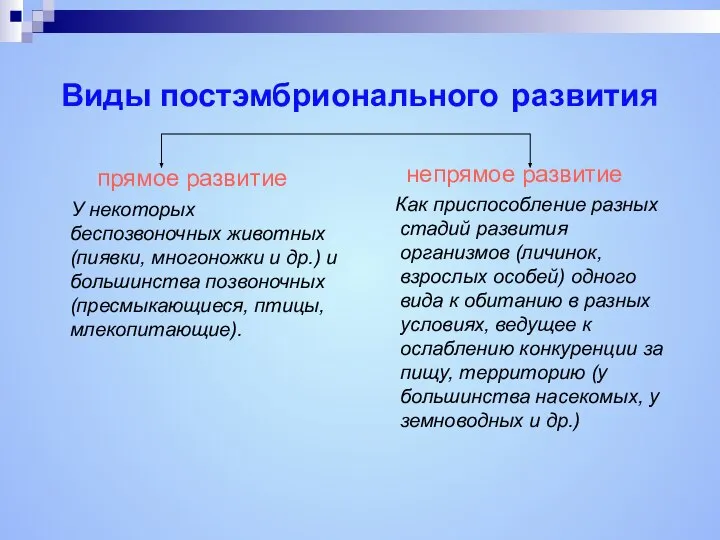 Виды постэмбрионального развития прямое развитие У некоторых беспозвоночных животных (пиявки, многоножки