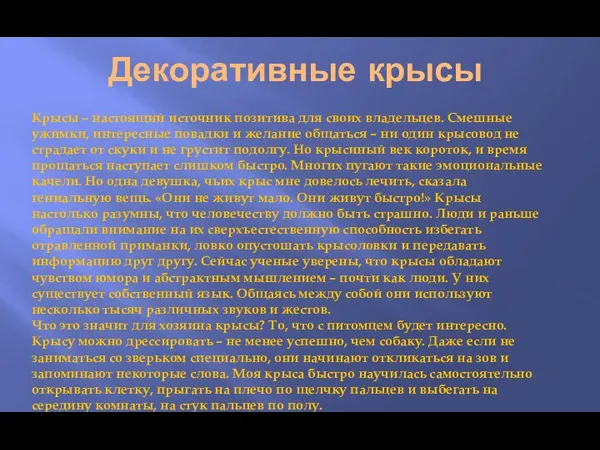 Декоративные крысы Крысы – настоящий источник позитива для своих владельцев. Смешные