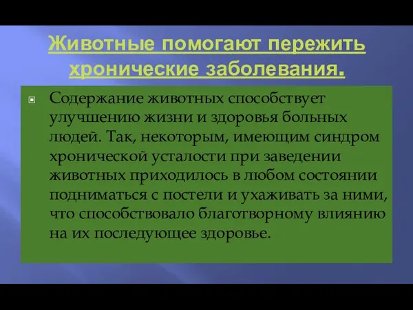 Животные помогают пережить хронические заболевания. Содержание животных способствует улучшению жизни и