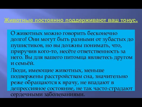 Животные постоянно поддерживают ваш тонус. О животных можно говорить бесконечно долго!