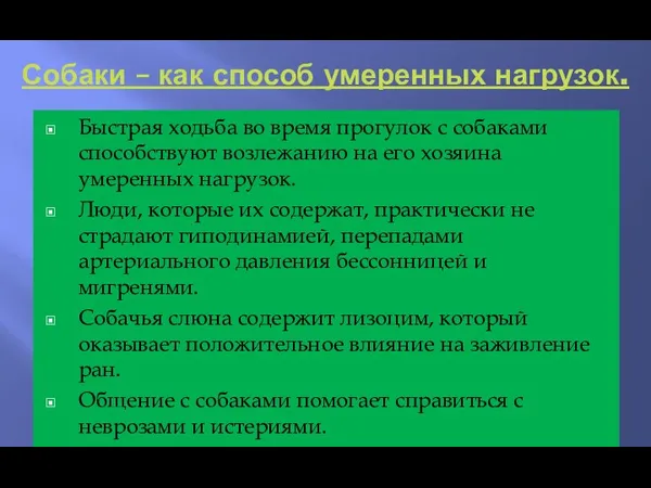 Собаки – как способ умеренных нагрузок. Быстрая ходьба во время прогулок