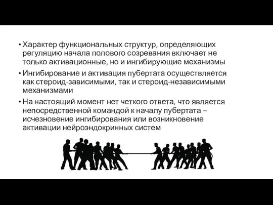 Характер функциональных структур, определяющих регуляцию начала полового созревания включает не только