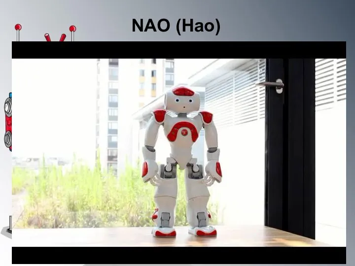 NAO (Нао)