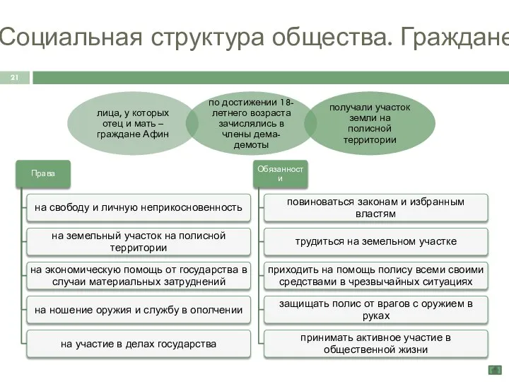 Социальная структура общества. Граждане