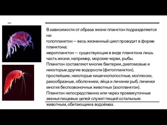 В зависимости от образа жизни планктон подразделяется на: голопланктон — весь