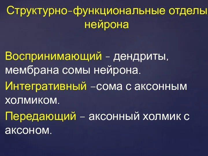 Воспринимающий - дендриты, мембрана сомы нейрона. Интегративный –сома с аксонным холмиком.