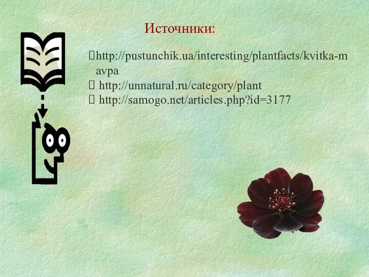 http://pustunchik.ua/interesting/plantfacts/kvitka-mavpa http://unnatural.ru/category/plant http://samogo.net/articles.php?id=3177 Источники: