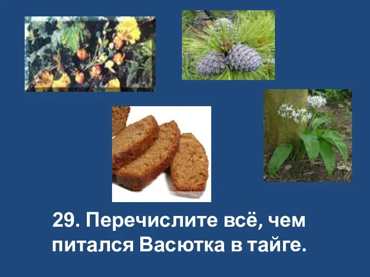 29. Перечислите всё, чем питался Васютка в тайге.