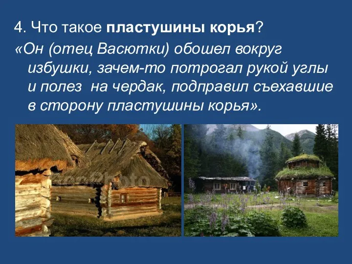 4. Что такое пластушины корья? «Он (отец Васютки) обошел вокруг избушки,