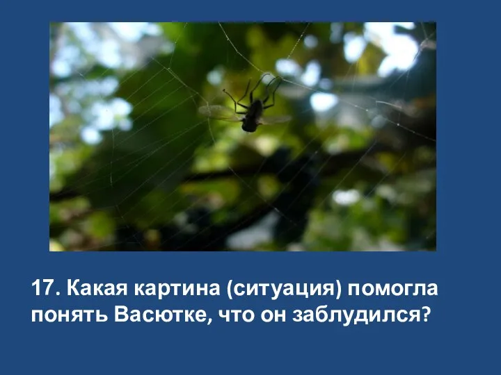 17. Какая картина (ситуация) помогла понять Васютке, что он заблудился?