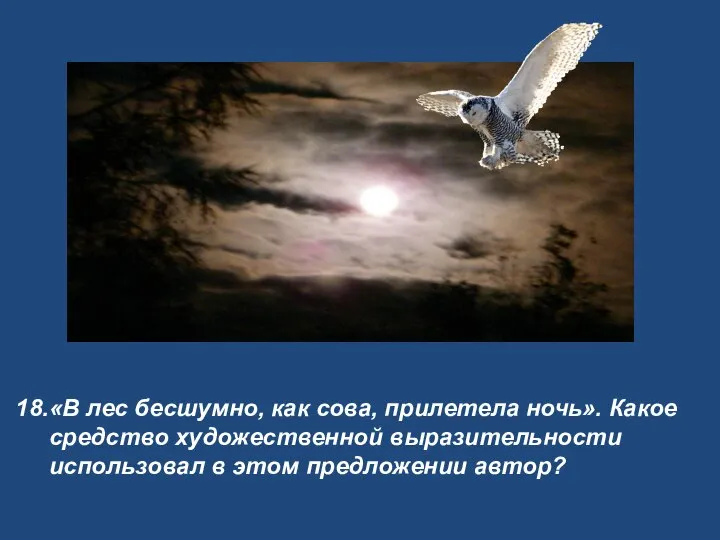 «В лес бесшумно, как сова, прилетела ночь». Какое средство художественной выразительности использовал в этом предложении автор?