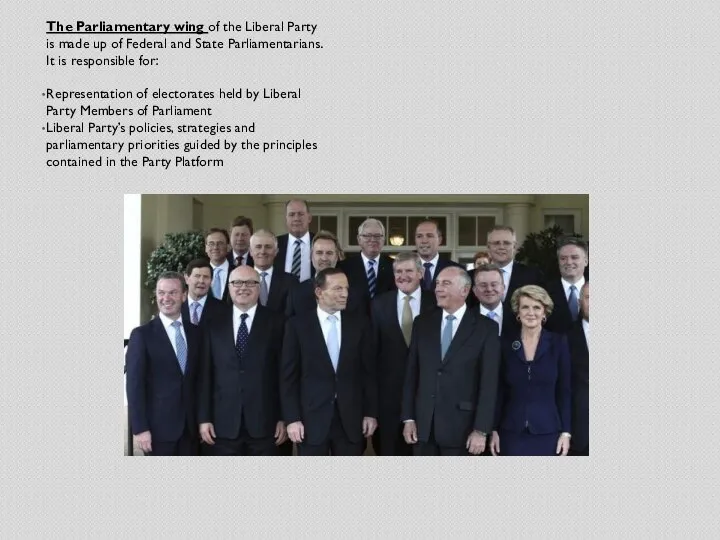 The Parliamentary wing of the Liberal Party is made up of