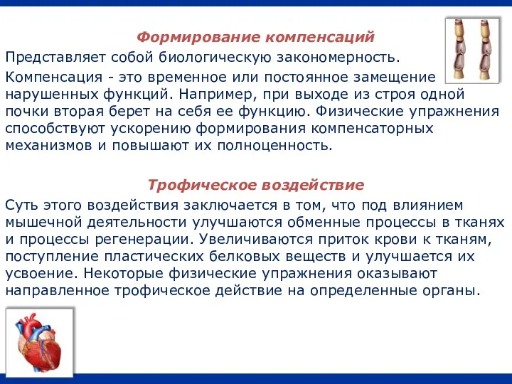 Формирование компенсаций Представляет собой биологическую закономерность. Компенсация - это временное или