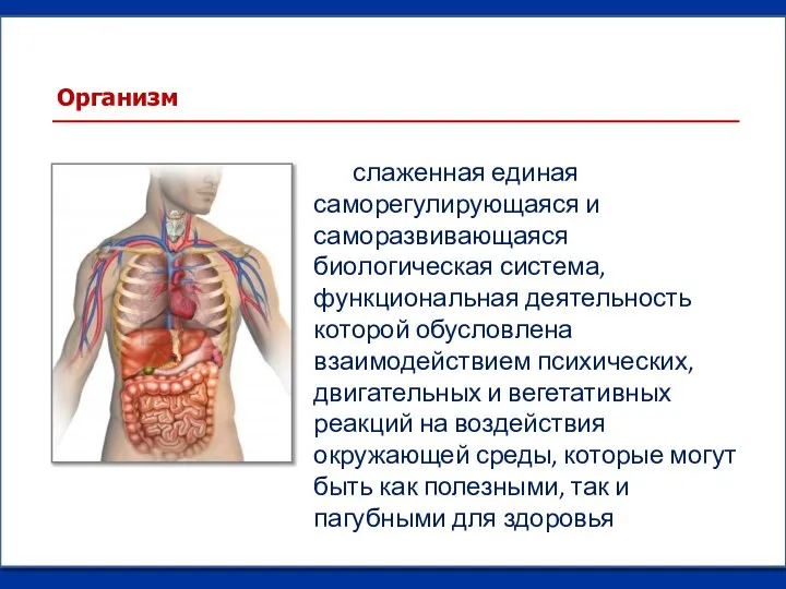 слаженная единая саморегулирующаяся и саморазвивающаяся биологическая система, функциональная деятельность которой обусловлена