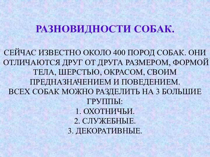 РАЗНОВИДНОСТИ СОБАК. СЕЙЧАС ИЗВЕСТНО ОКОЛО 400 ПОРОД СОБАК. ОНИ ОТЛИЧАЮТСЯ ДРУГ