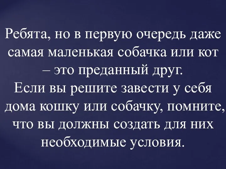 Ребята, но в первую очередь даже самая маленькая собачка или кот