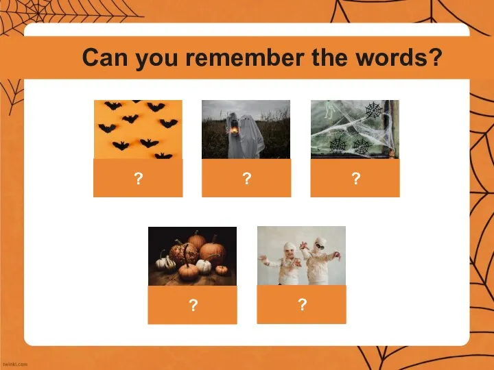 Bats A ghost Spiders and cobwebs Pumpkins A mummy Can you