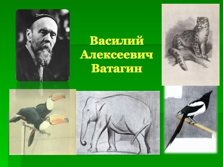 Василий Алексеевич Ватагин