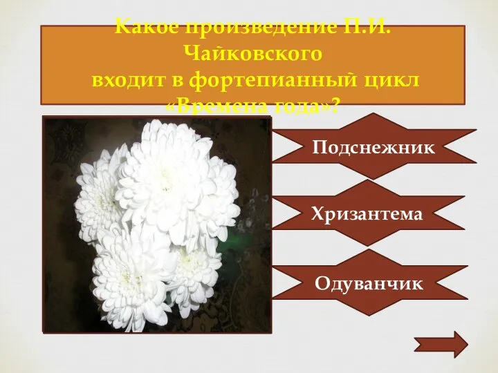 Какое произведение П.И.Чайковского входит в фортепианный цикл «Времена года»? Подснежник Хризантема Одуванчик