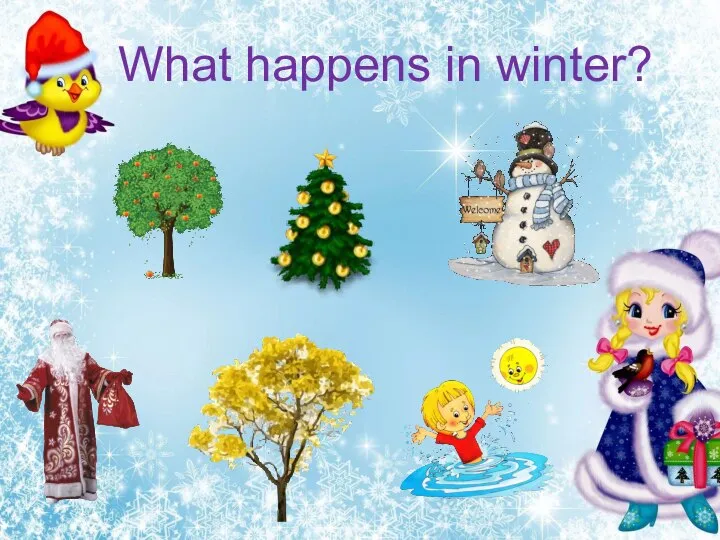 What happens in winter?