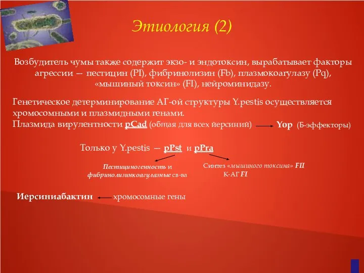 Этиология (2) Возбудитель чумы также содержит экзо- и эндотоксин, вырабатывает факторы