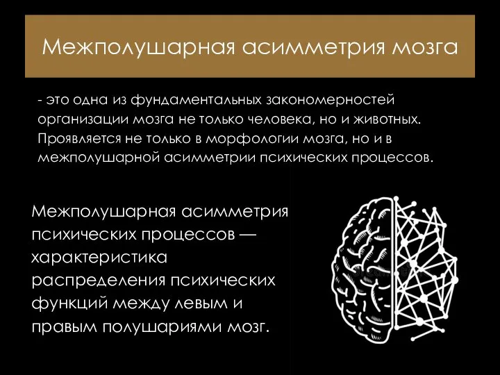 Межполушарная асимметрия мозга - это одна из фундаментальных закономерностей организации мозга