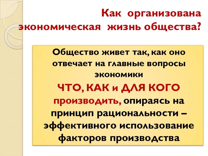 Как организована экономическая жизнь общества? Общество живет так, как оно отвечает