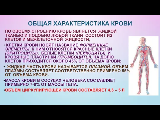 ОБЩАЯ ХАРАКТЕРИСТИКА КРОВИ ПО СВОЕМУ СТРОЕНИЮ КРОВЬ ЯВЛЯЕТСЯ ЖИДКОЙ ТКАНЬЮ И