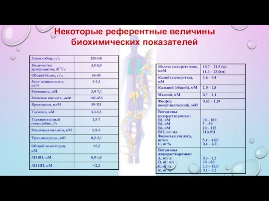 Некоторые референтные величины биохимических показателей