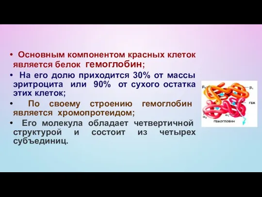 Основным компонентом красных клеток является белок гемоглобин; На его долю приходится