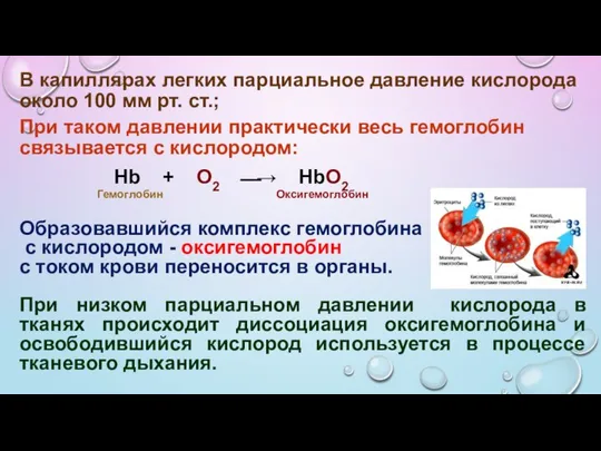 В капиллярах легких парциальное давление кислорода около 100 мм рт. ст.;