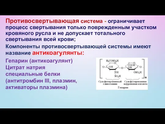 Противосвертывающая система - ограничивает процесс свертывания только поврежденным участком кровяного русла