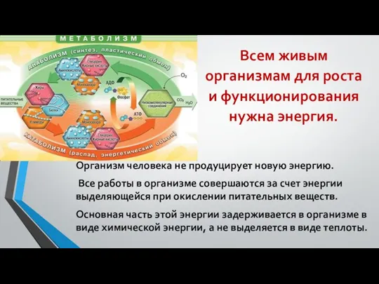 Всем живым организмам для роста и функционирования нужна энергия. Организм человека