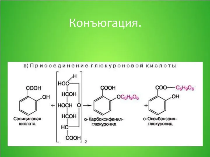 Конъюгация.