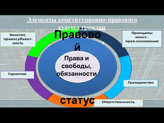 Элементы конституционно-правового статуса граждан