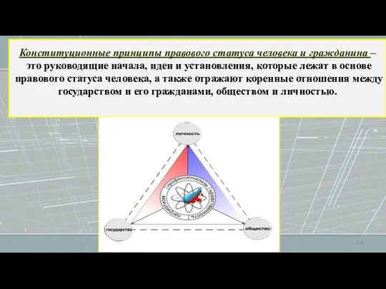 Конституционные принципы правового статуса человека и гражданина – это руководящие начала,