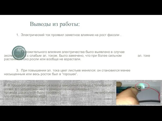 Выводы из работы: 1. Электрический ток проявил заметное влияние на рост