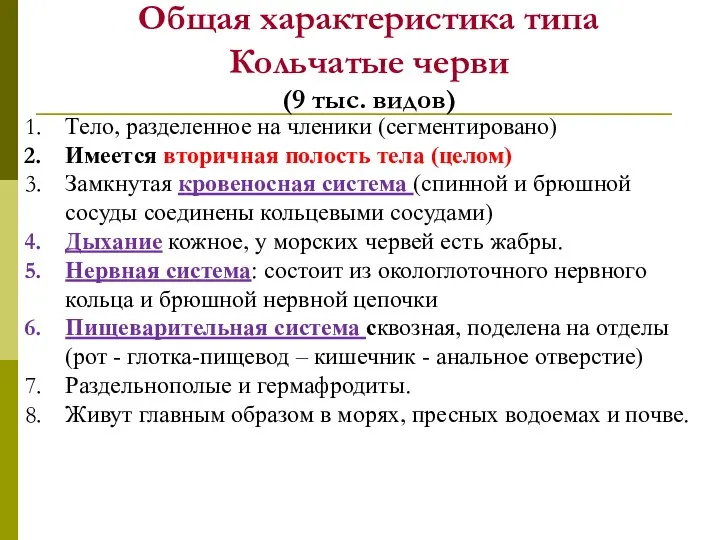 Общая характеристика типа Кольчатые черви (9 тыс. видов) Тело, разделенное на