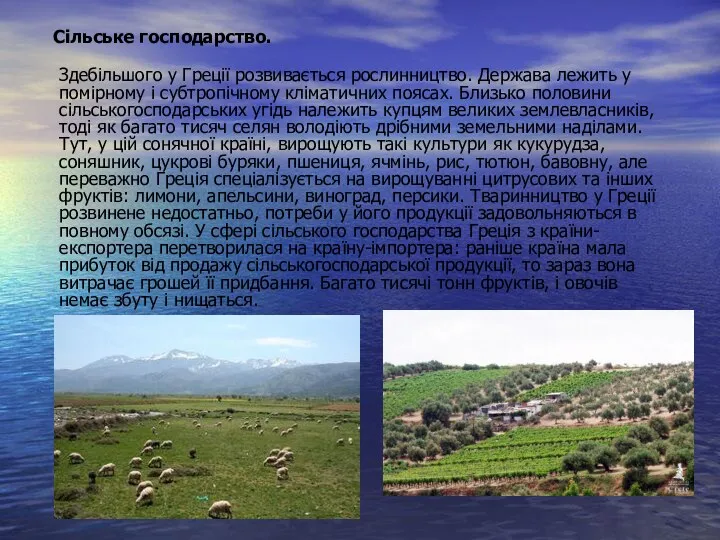 Сільське господарство. Здебільшого у Греції розвивається рослинництво. Держава лежить у помірному