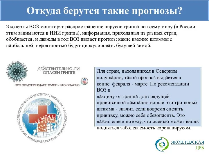 Откуда берутся такие прогнозы? Эксперты ВОЗ мониторят распространение вирусов гриппа по