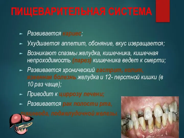 ПИЩЕВАРИТЕЛЬНАЯ СИСТЕМА Развивается кариес; Ухудшается аппетит, обоняние, вкус извращается; Возникают спазмы