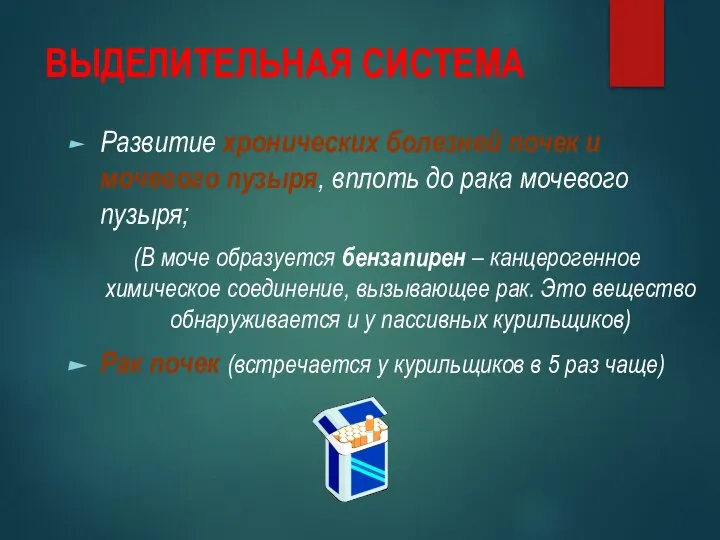 ВЫДЕЛИТЕЛЬНАЯ СИСТЕМА Развитие хронических болезней почек и мочевого пузыря, вплоть до