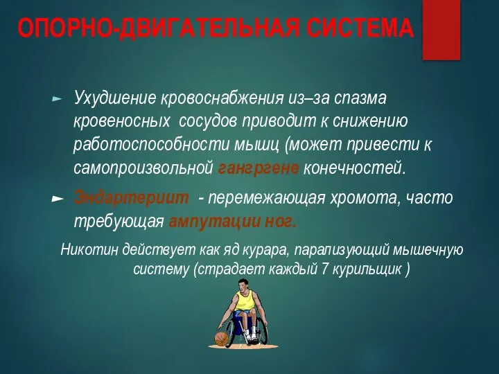 ОПОРНО-ДВИГАТЕЛЬНАЯ СИСТЕМА Ухудшение кровоснабжения из–за спазма кровеносных сосудов приводит к снижению