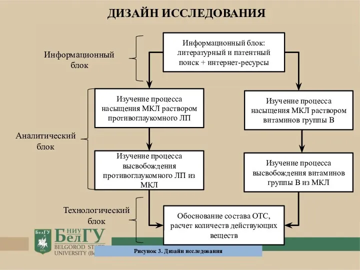 Изучение процесса насыщения МКЛ раствором витаминов группы B Изучение процесса высвобождения