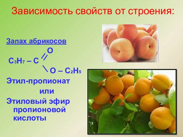 Запах абрикосов О С3Н7 – С О – С2Н5 Этил-пропионат или