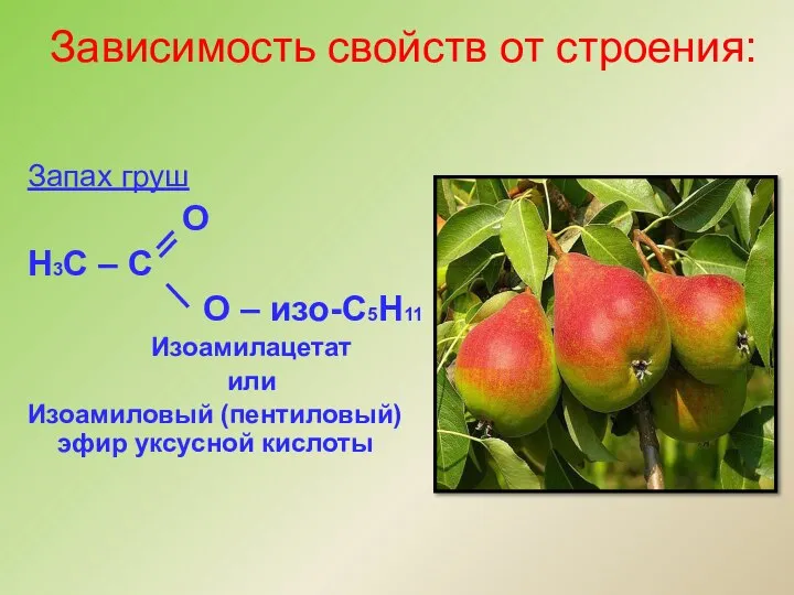 Запах груш О Н3С – С О – изо-С5Н11 Изоамилацетат или