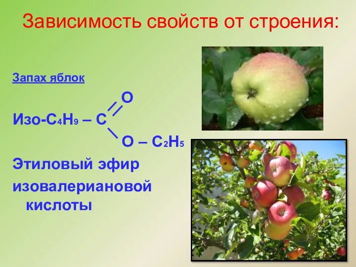 Запах яблок О Изо-С4Н9 – С О – С2Н5 Этиловый эфир
