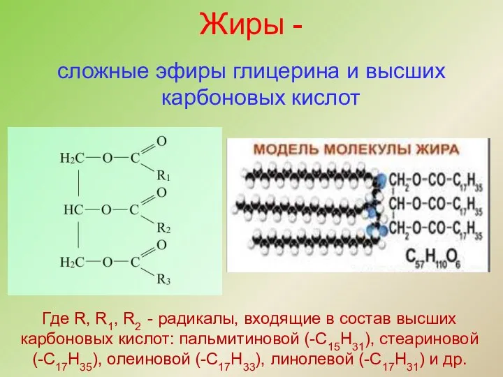 Жиры - сложные эфиры глицерина и высших карбоновых кислот Где R,